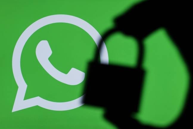 WhatsApp: rubati dati e password a tutti gli utenti in questo modo